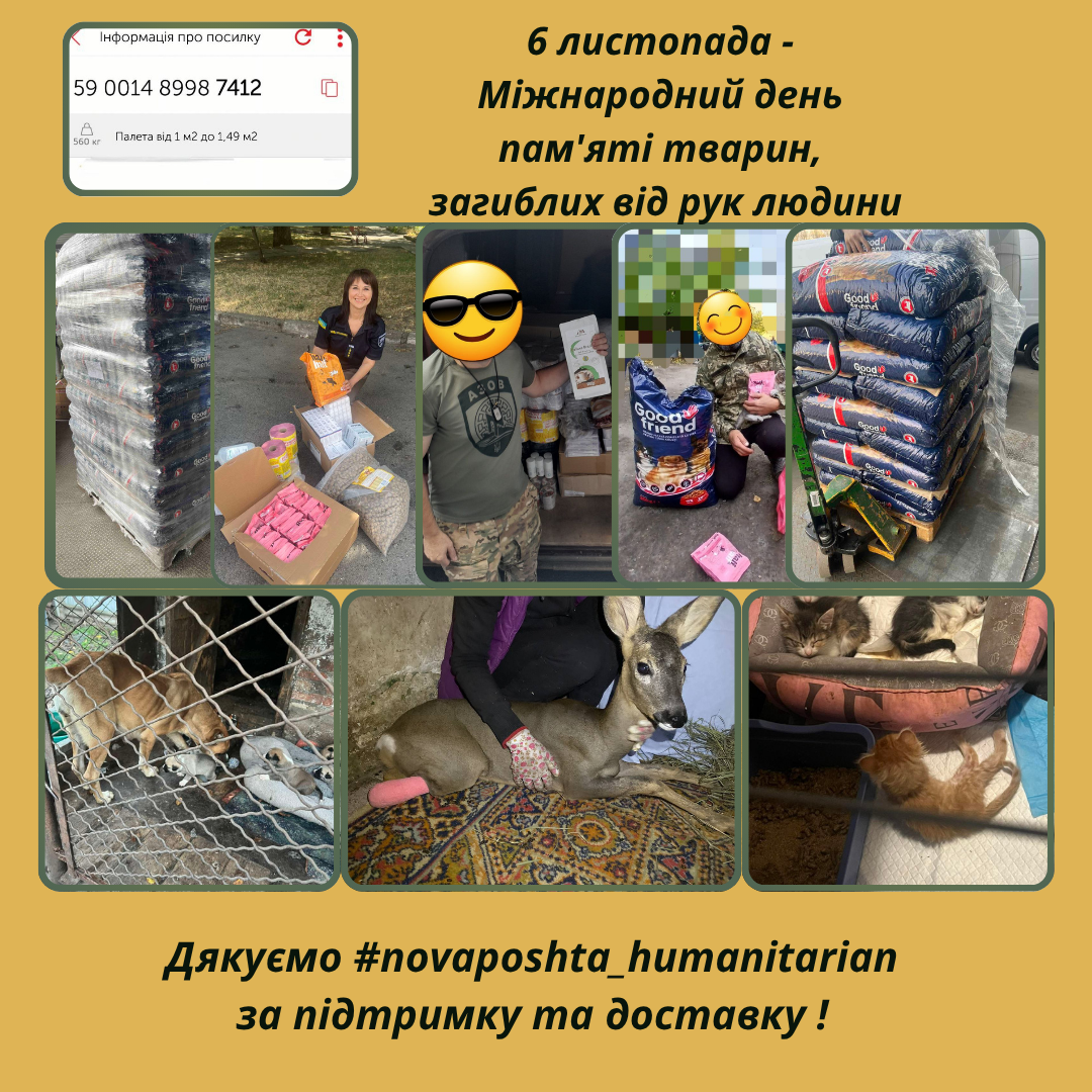 Сьогодні, 6 листопада, Міжнародний день пам'яті тварин, загиблих від рук людини. День, присвячений пам'яті тих, хто не здатен захиститися від людської  жорстокості