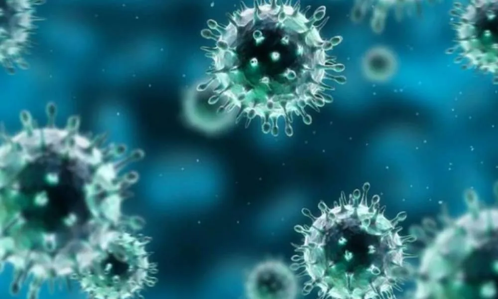 Чому дехто не може заразить норовірусом, і чи допоможе це в пошуках вакцини?