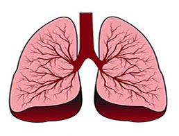 Бронхіальна астма і Програма медичних гарантій