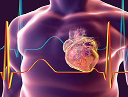 Ішемічна хвороба серця: порівняння рутинної реваскуляризації та консервативної стратегії лікування