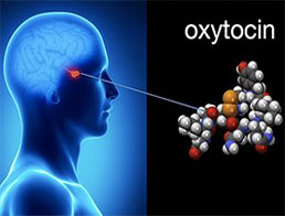 Терапевтичне застосування окситоцину при когнітивних розладах