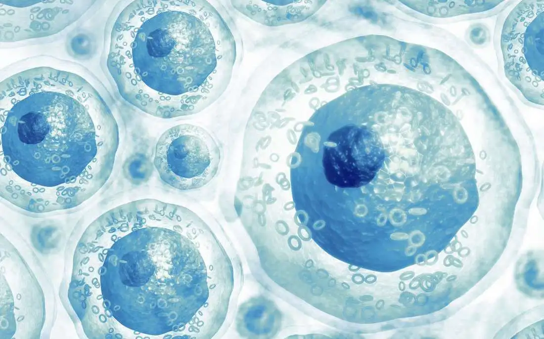 Як стовбурові клітини можуть повернути зір