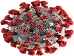 Нова коронавірусна хвороба та інші глобальні виклики в інфектології
