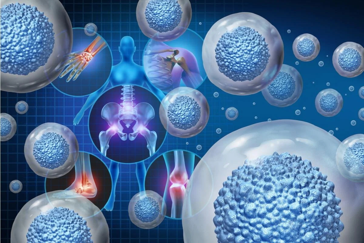 Регенеративна медицина – вчені винайшли «клітинний клей»