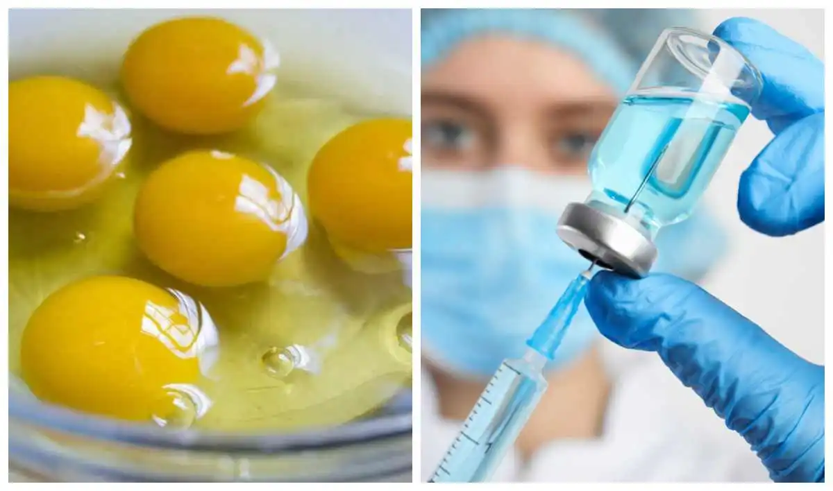 Чи можна вакцинуватись при алергії на яйця?