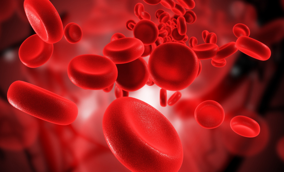 Вчені відкрили новий набір груп крові