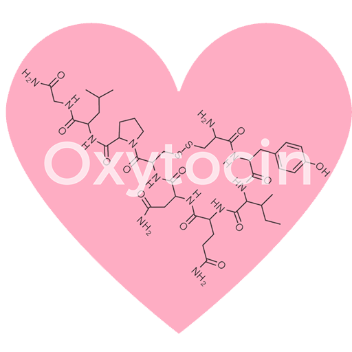Окситоцин лікує серце